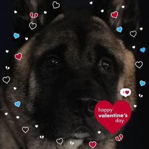 Meet your Posher, Ted